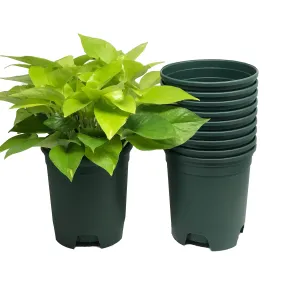 1 Gallon Nursery Pot Plastic Planters Color Green