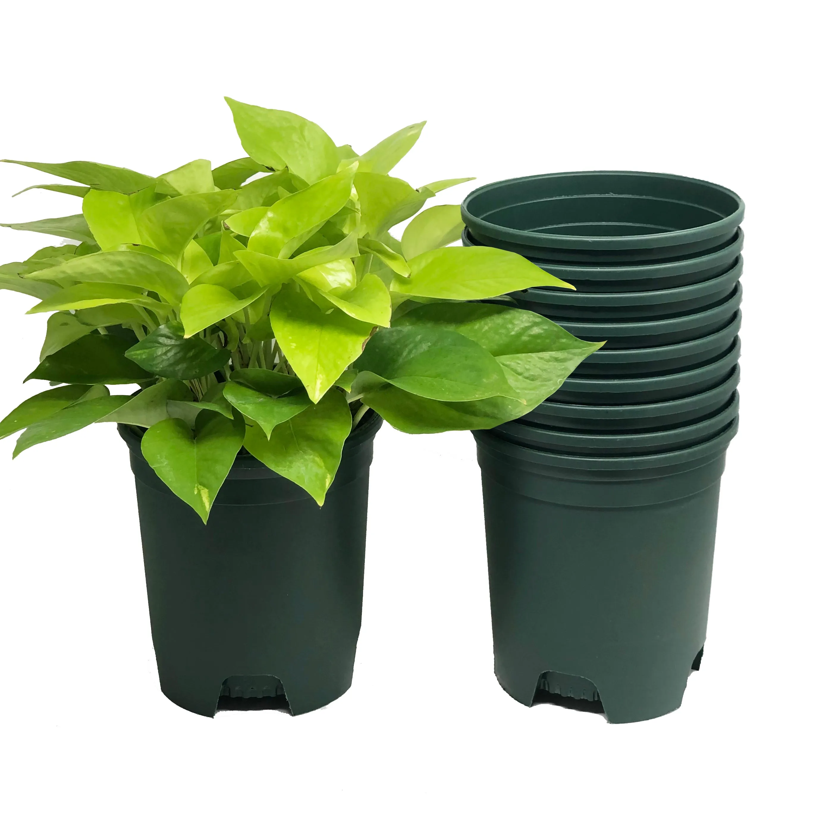 1 Gallon Nursery Pot Plastic Planters Color Green