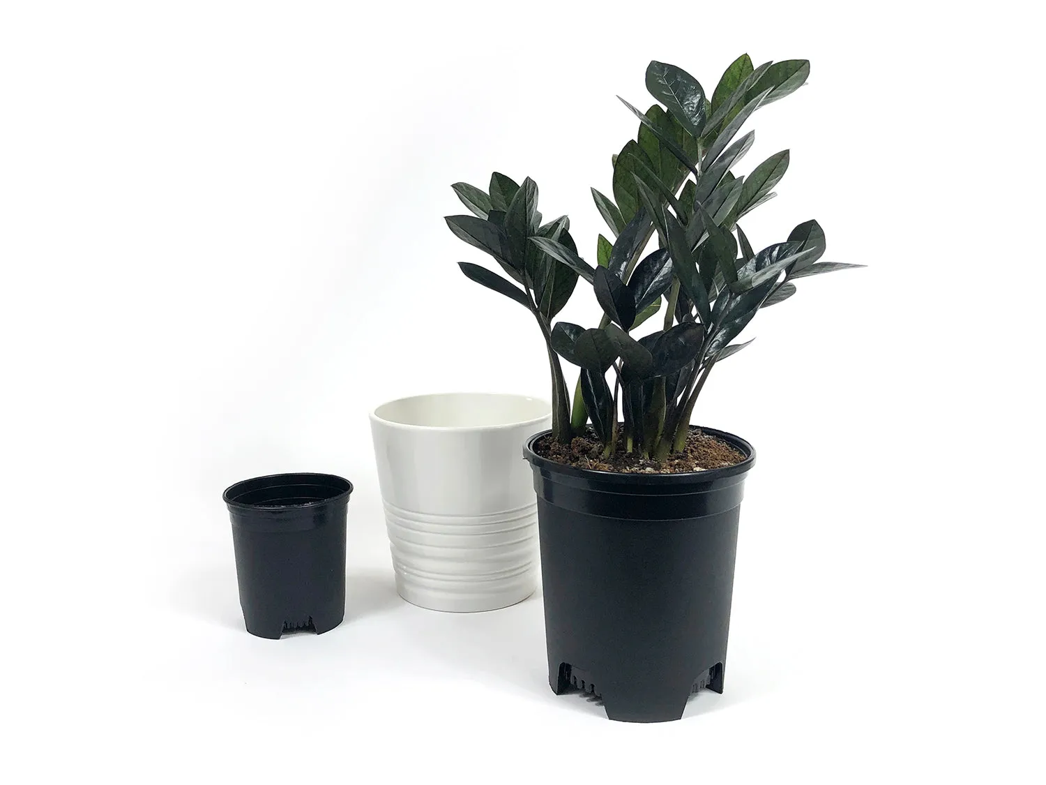 10 Pack Plastic Plant Pots Nursery Gardening Planters Variety Size