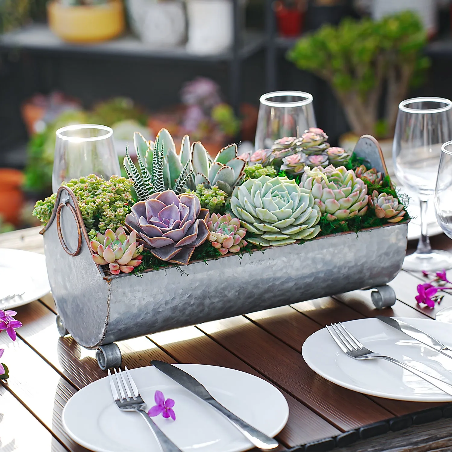 14" Succulent Centerpiece Table Decor Gift