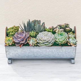 14" Succulent Centerpiece Table Decor Gift