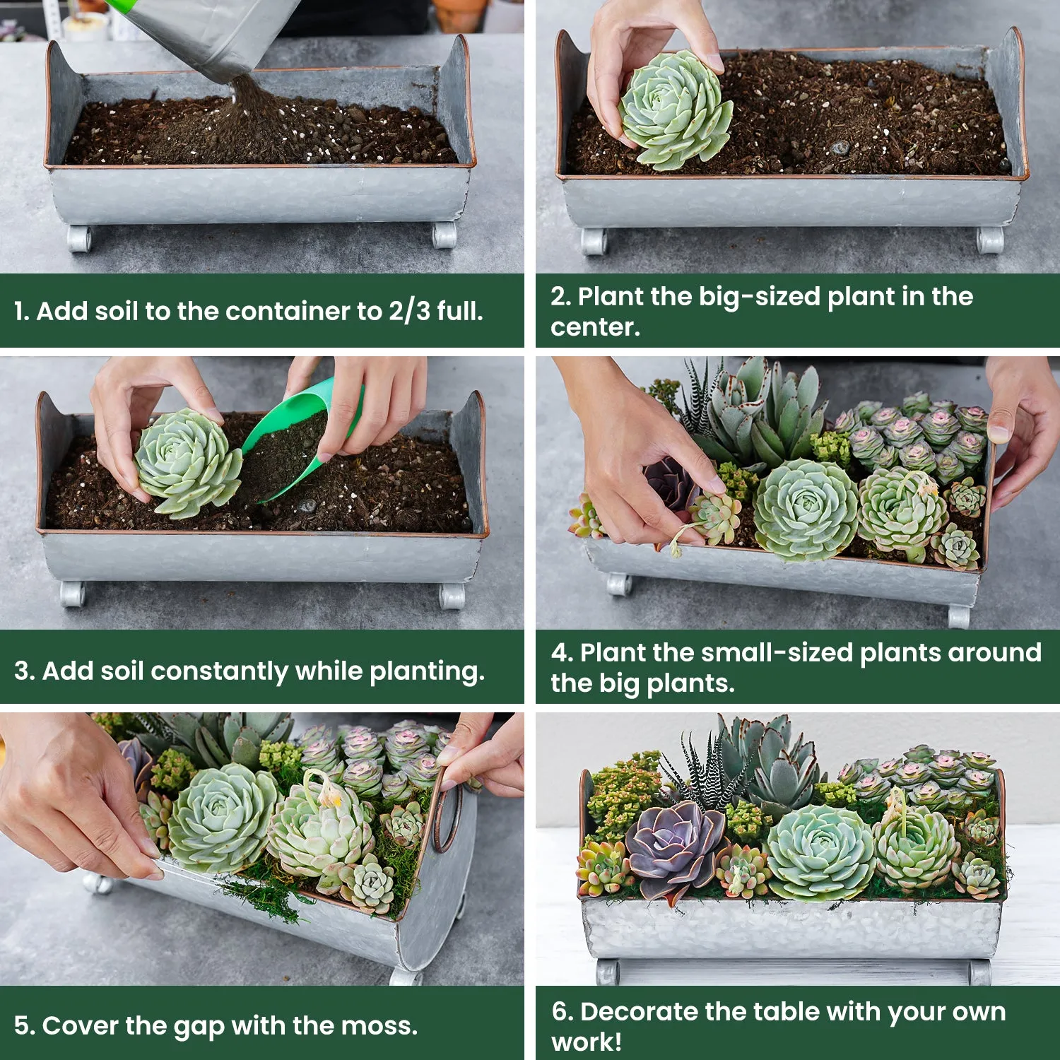 14" Succulent Centerpiece Table Decor Gift