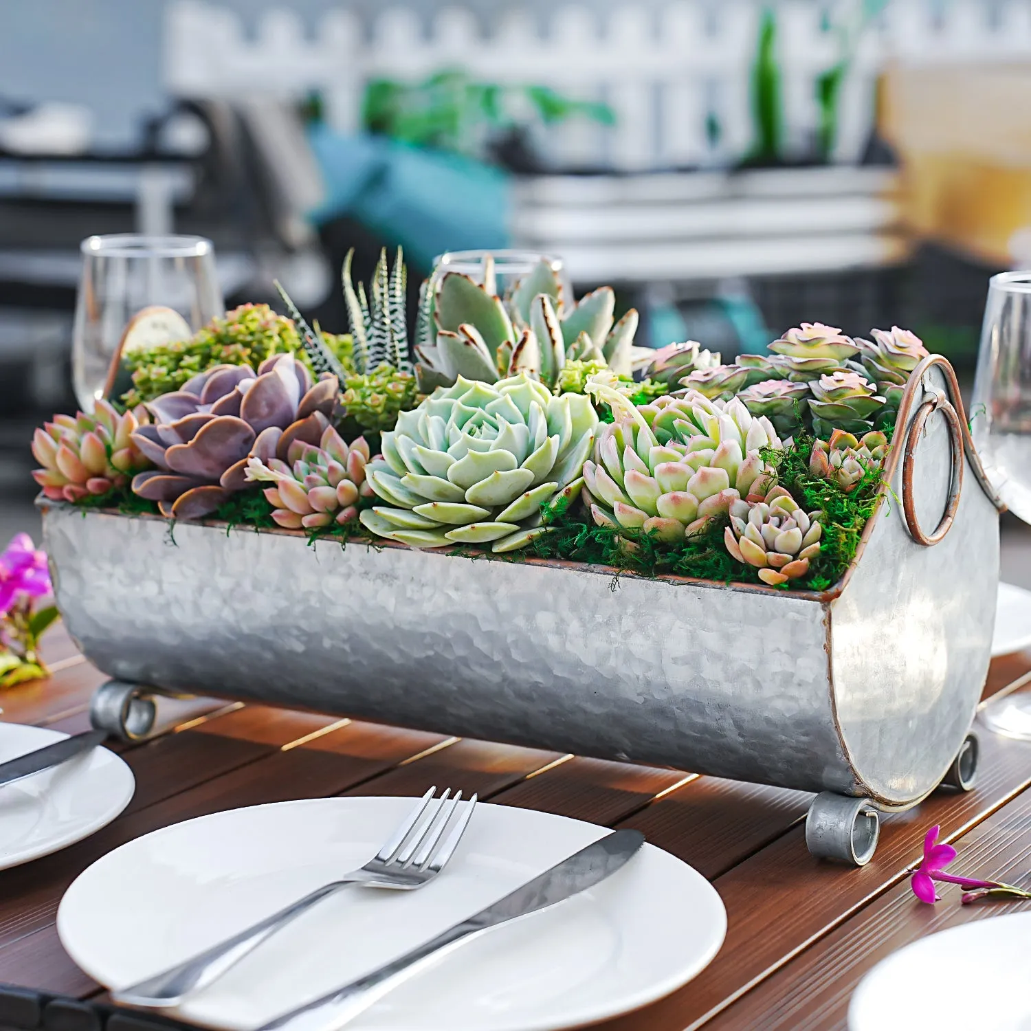 14" Succulent Centerpiece Table Decor Gift