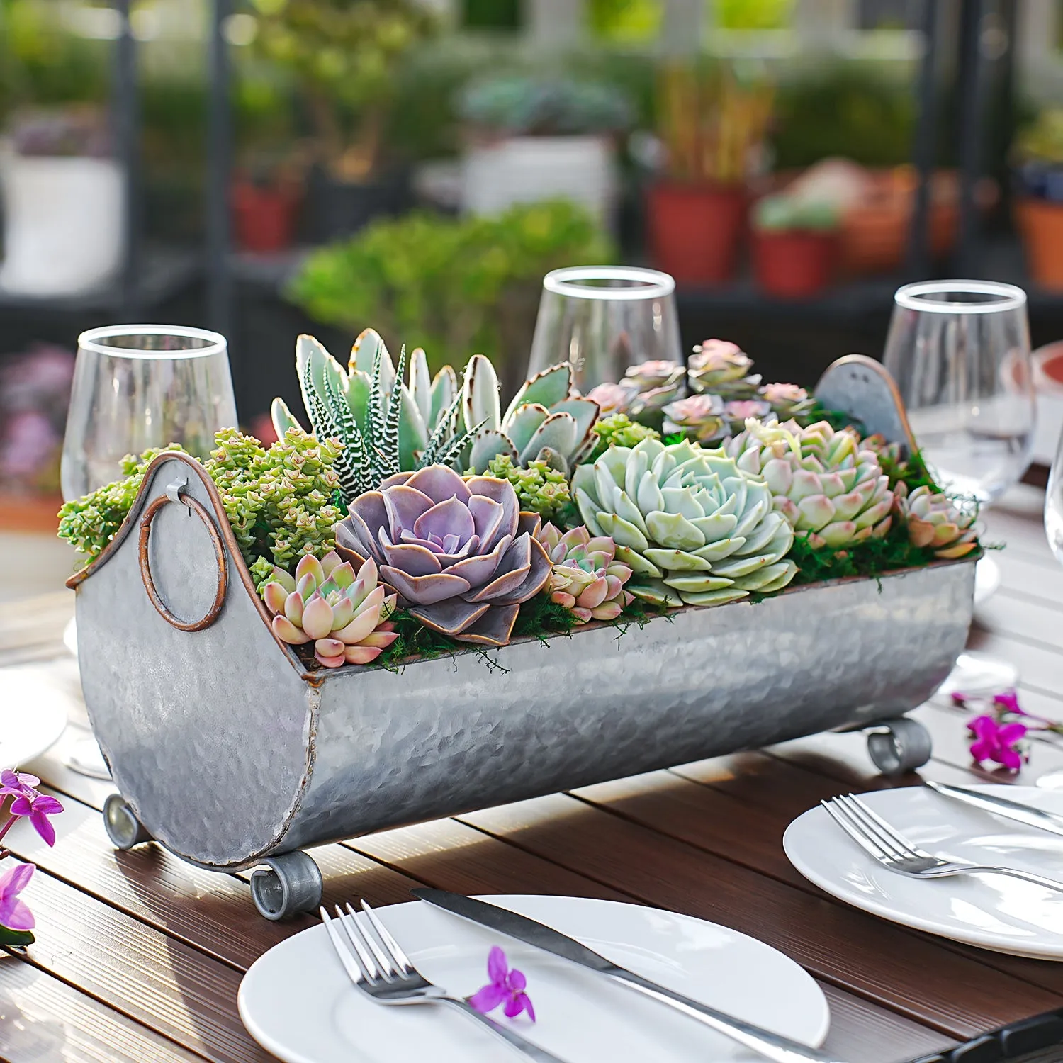 14" Succulent Centerpiece Table Decor Gift