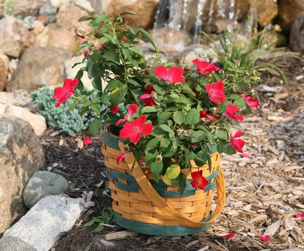 20" 1 - Handle Basket Sleeve