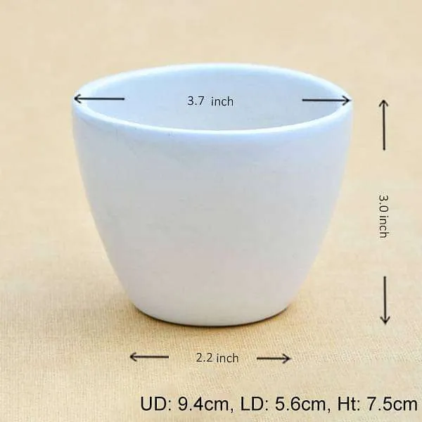 3.7 inch (9 cm) Round Egg Ceramic Pot (White) (set of 2)