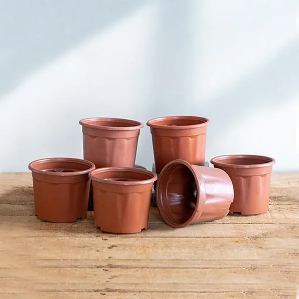 4 inch (10 cm) Grower Round Plastic Pot