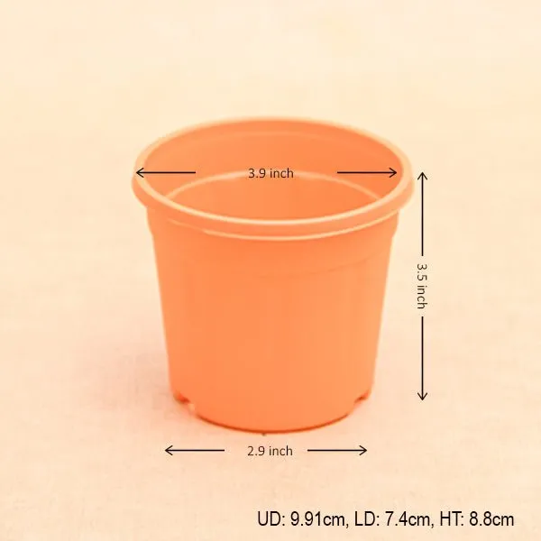 4 inch (10 cm) Grower Round Plastic Pot