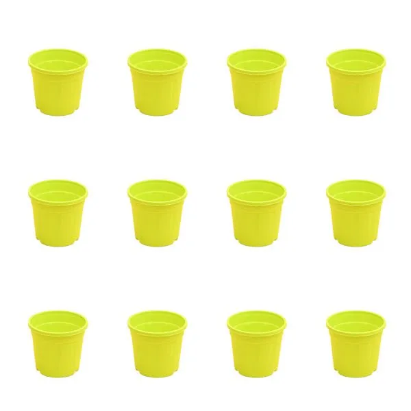 4 inch (10 cm) Grower Round Plastic Pot
