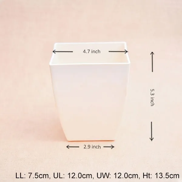 4.7 inch (12 cm) Chatura No. 12 Square Plastic Planter (Ivory) (set of 6)