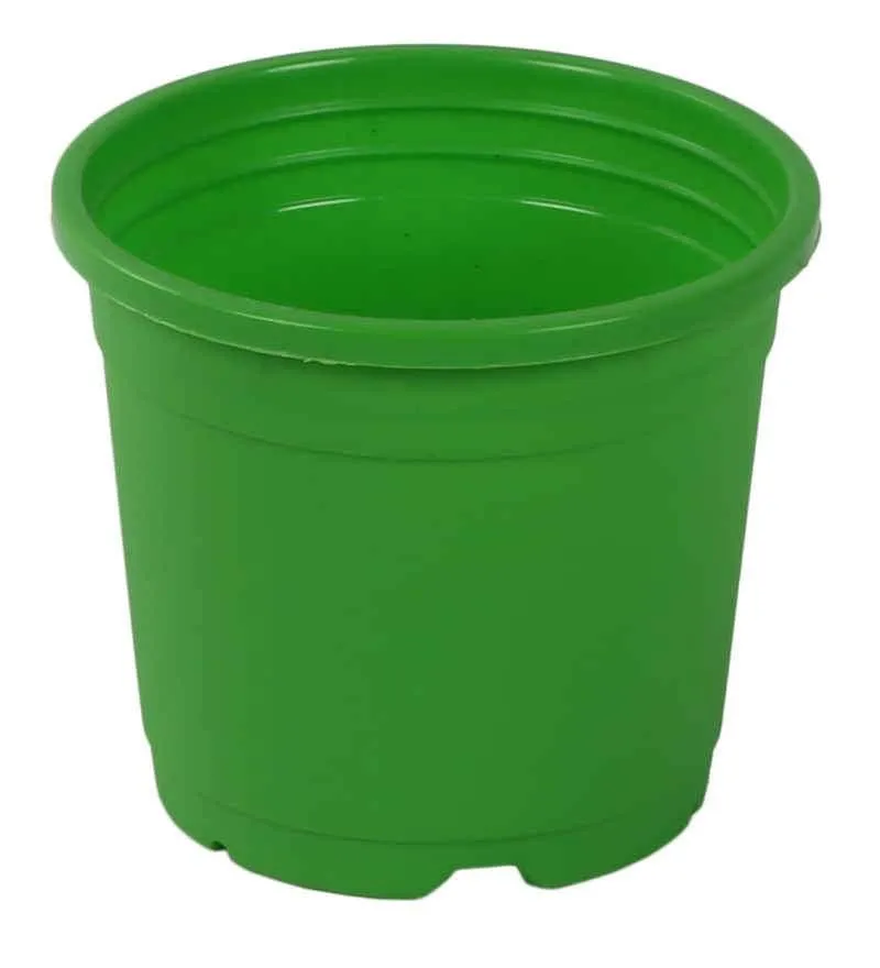 4" Flower Pot Apple Green Colour Sunrise Series (10 cm)