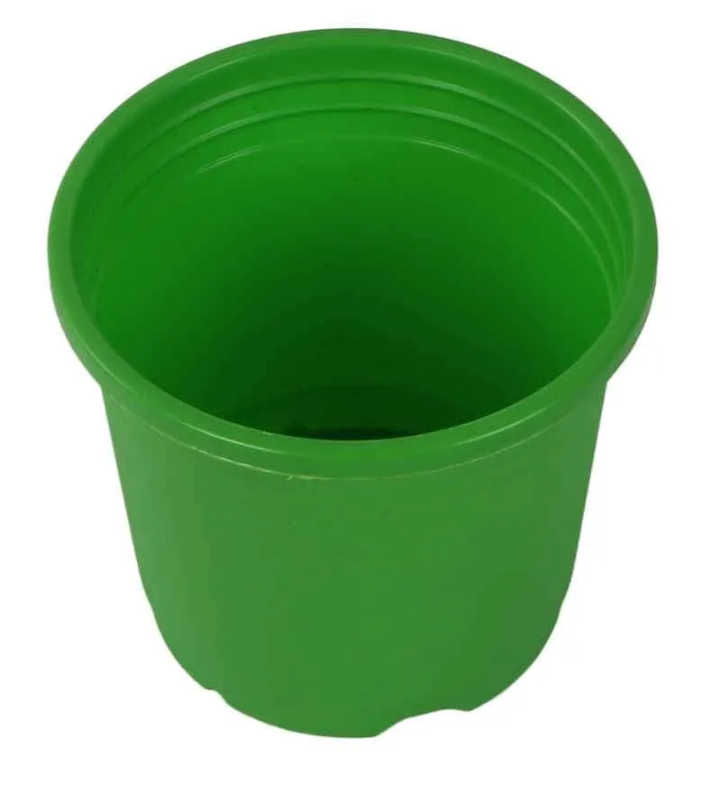 4" Flower Pot Apple Green Colour Sunrise Series (10 cm)