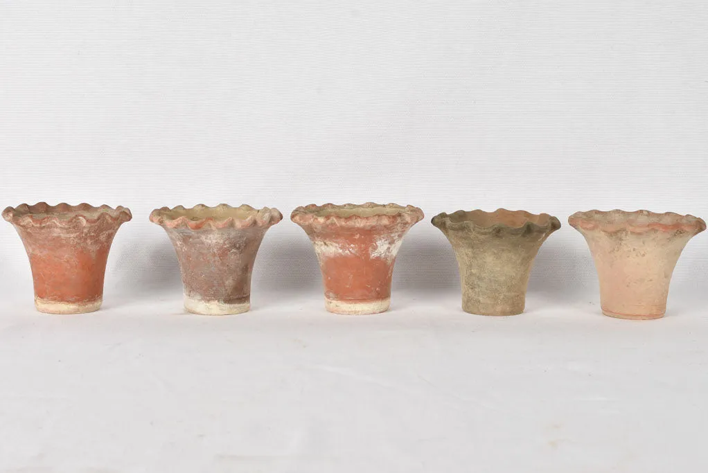 5 adorable flower pots - terracotta w/ rippled edge 3½"