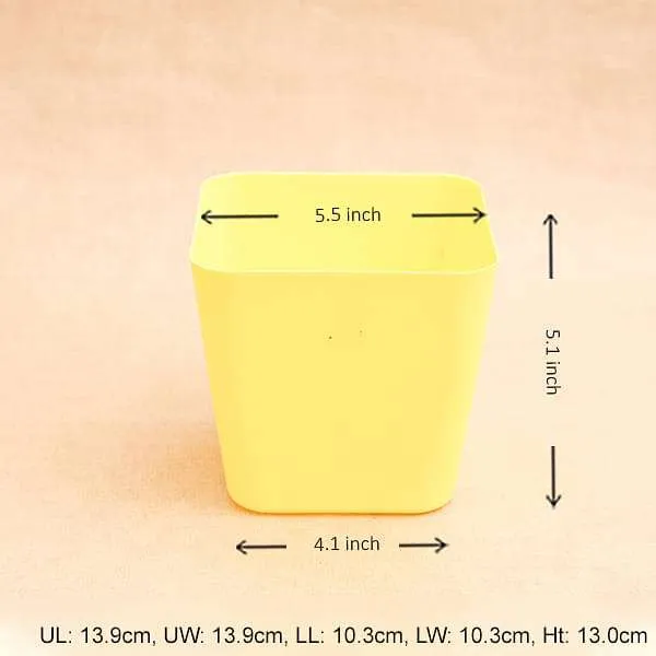 5.5 inch (14 cm) Square Plastic Planter with Rounded Edges (Yellow) (set of 6)