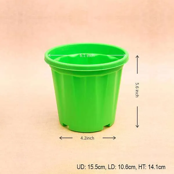 6 inch (15 cm) Grower Round Plastic Pot (Green) (set of 6)