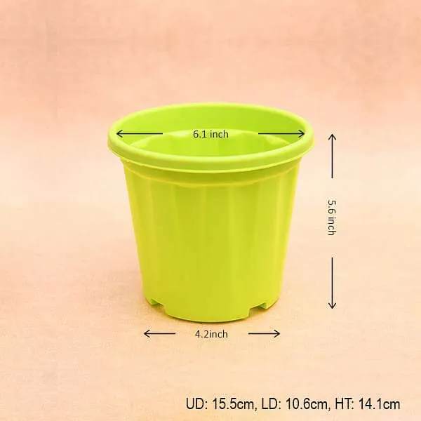 6 inch (15 cm) Grower Round Plastic Pot (Lime Yellow) (set of 6)