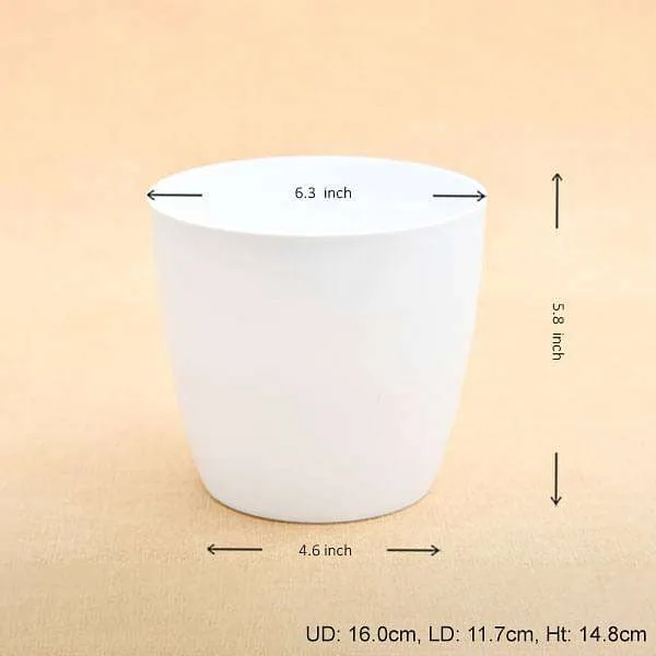 6.3 inch (16 cm) Valencia 16 Round Plastic Planter (White) (set of 6)