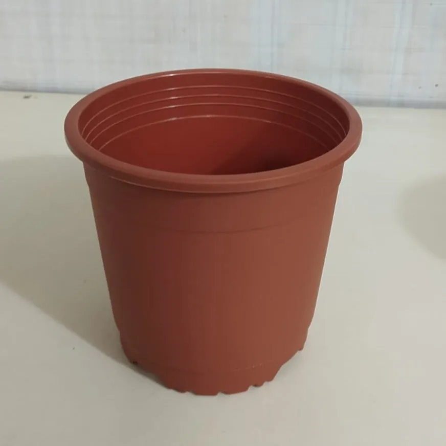6" Flower Pot Terracotta Colour Sunrise Series (14.5 cm) ( Pack of 12)