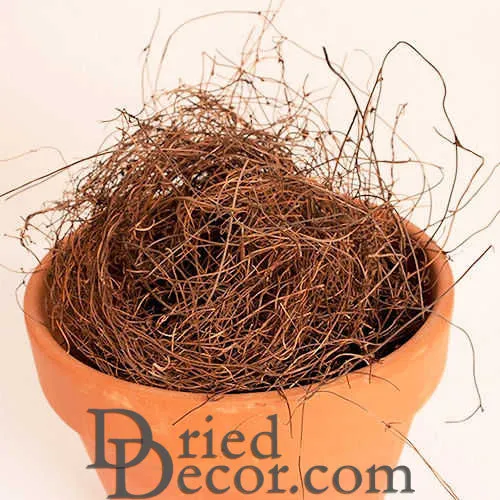 Angel Vine - 5lbs Natural