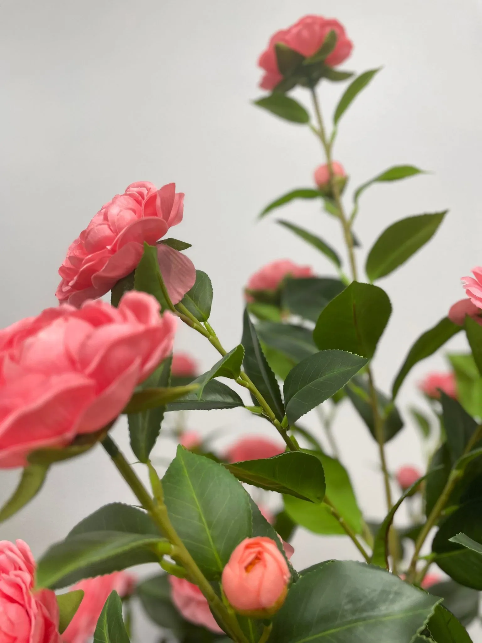 Artificial Camellia Flower Tree - Pink 5.3' (160 cm)