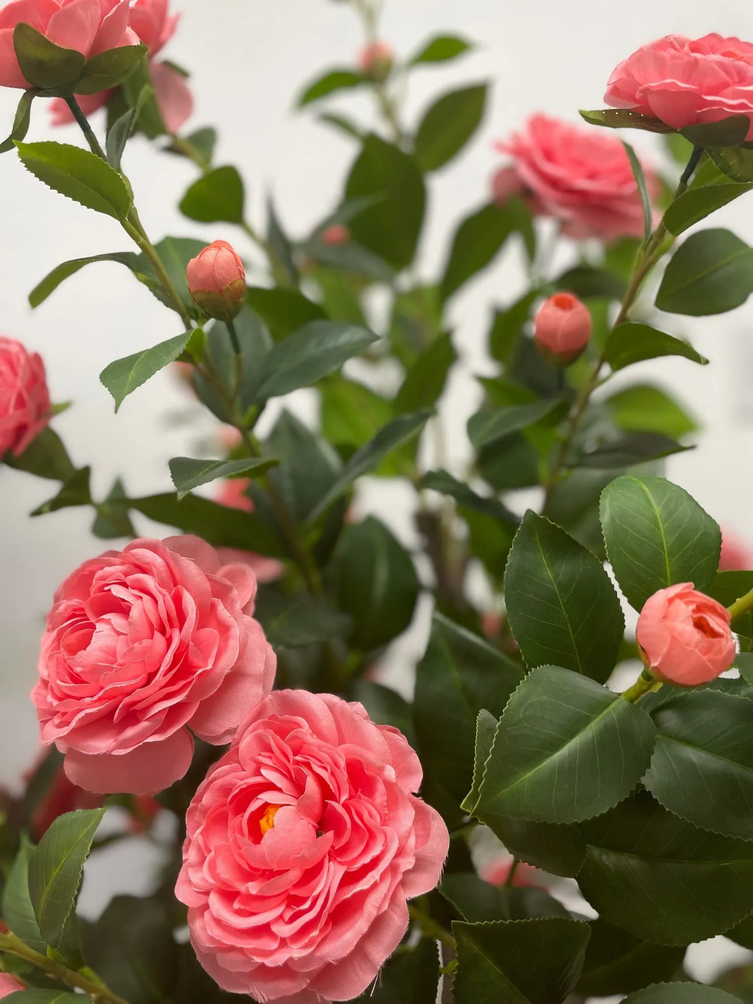 Artificial Camellia Flower Tree - Pink 5.3' (160 cm)