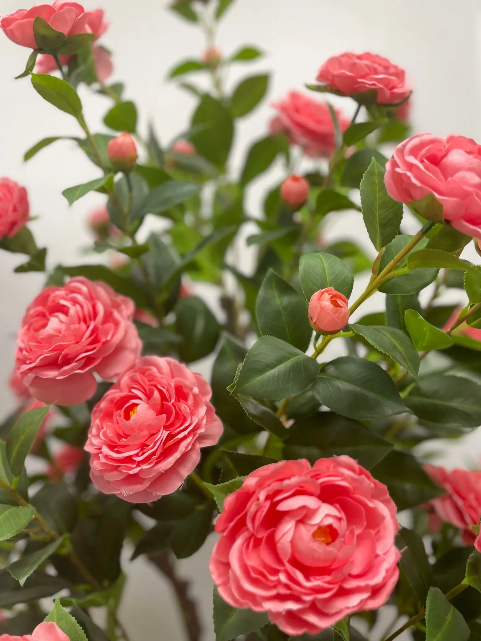 Artificial Camellia Flower Tree - Pink 5.3' (160 cm)