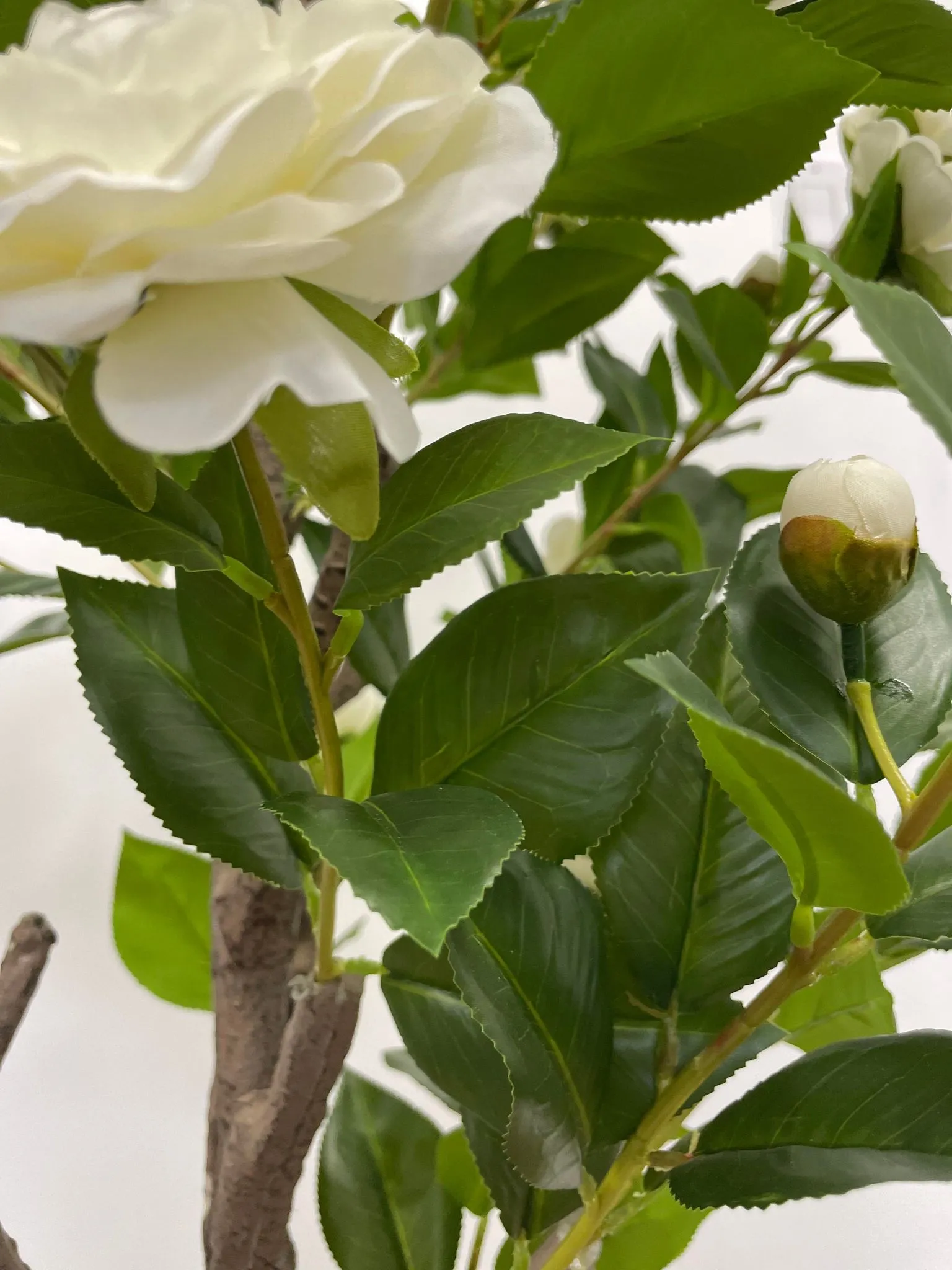Artificial Camellia Flower Tree - White 5.3'