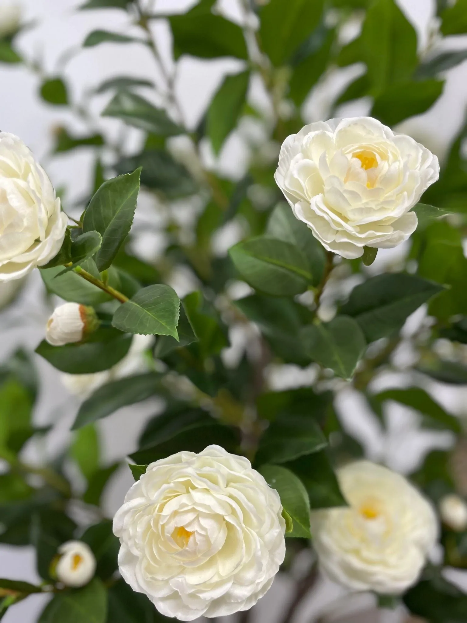 Artificial Camellia Flower Tree - White 5.3'