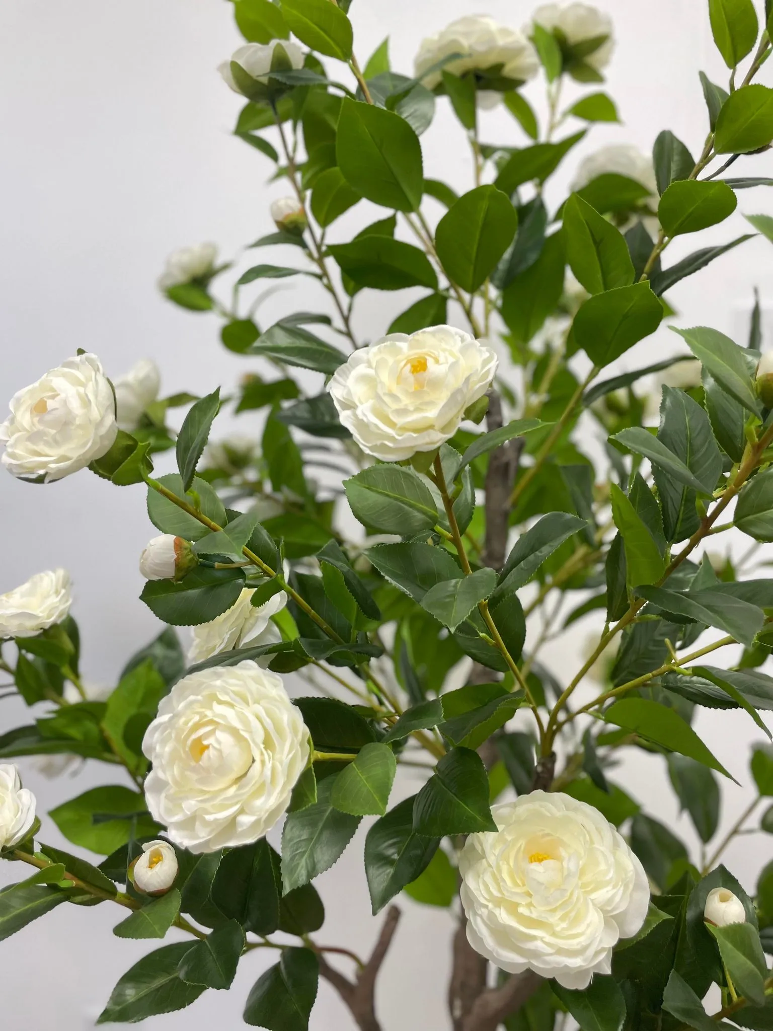 Artificial Camellia Flower Tree - White 5.3'