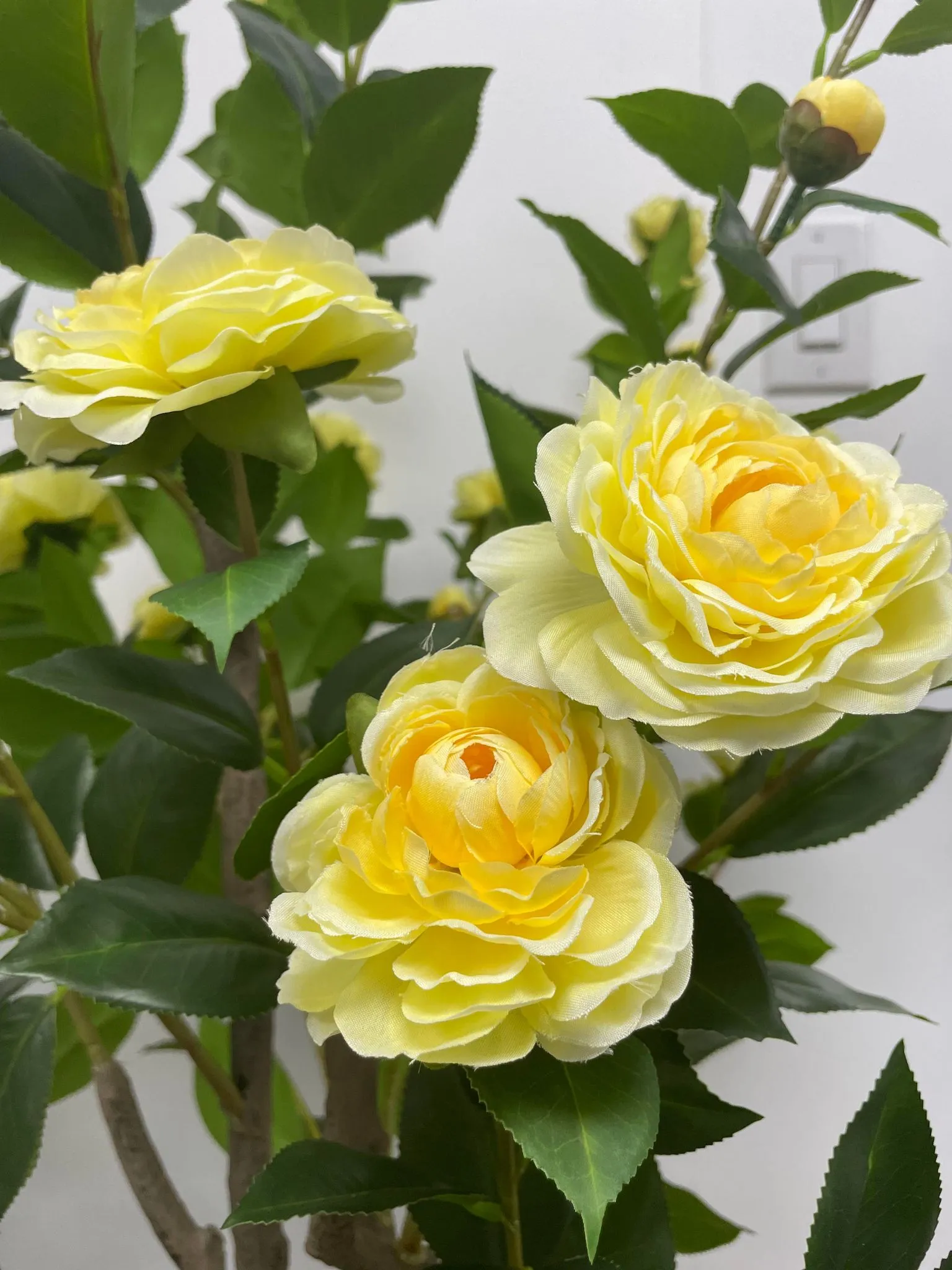 Artificial Camellia Flower Tree - Yellow 5.3' (160 cm)