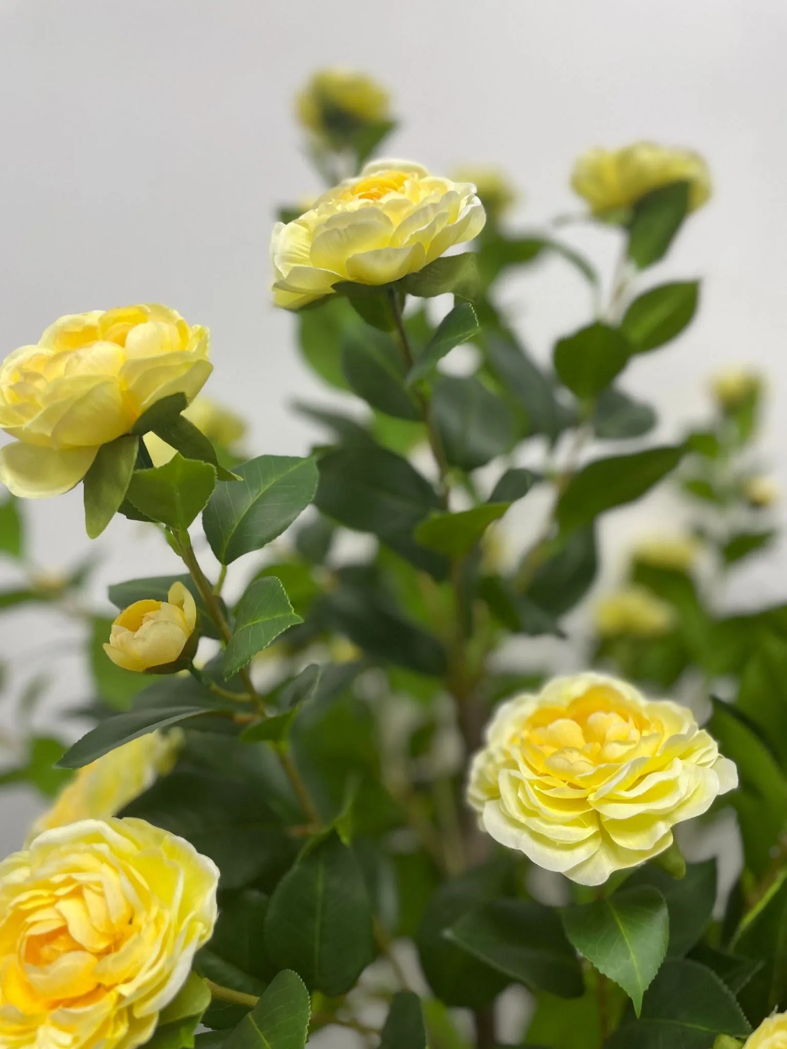 Artificial Camellia Flower Tree - Yellow 5.3' (160 cm)