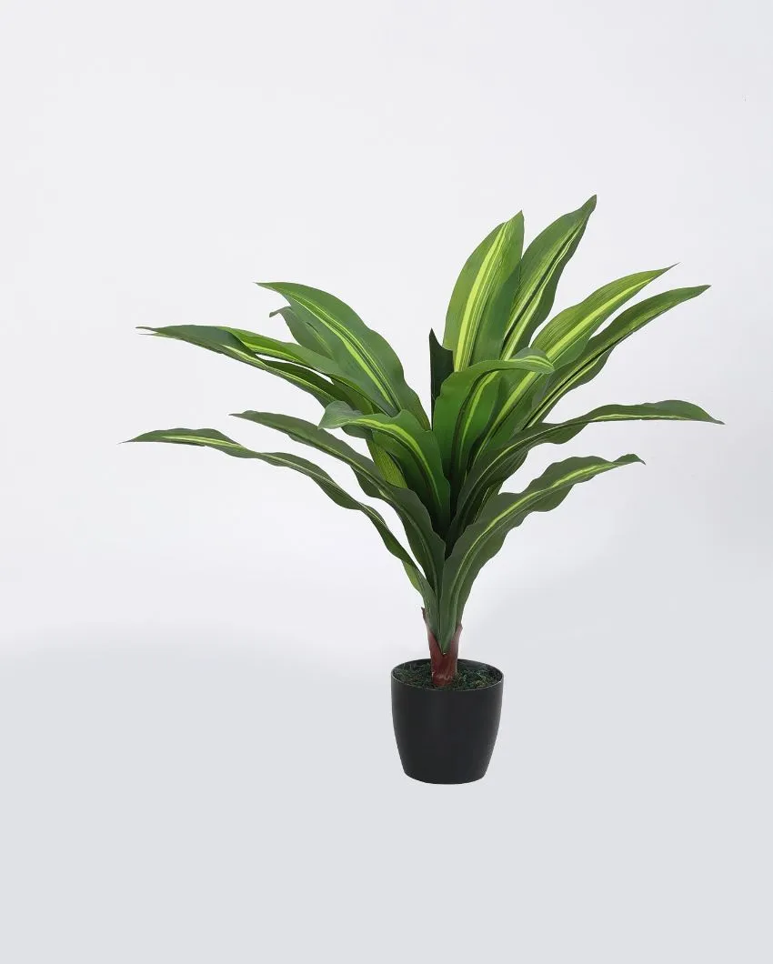 Artificial Dracaena Silk Plant Evergreen Dracaena Marginata Fake Yucca Palm Tree With Black Pot | 2 feet