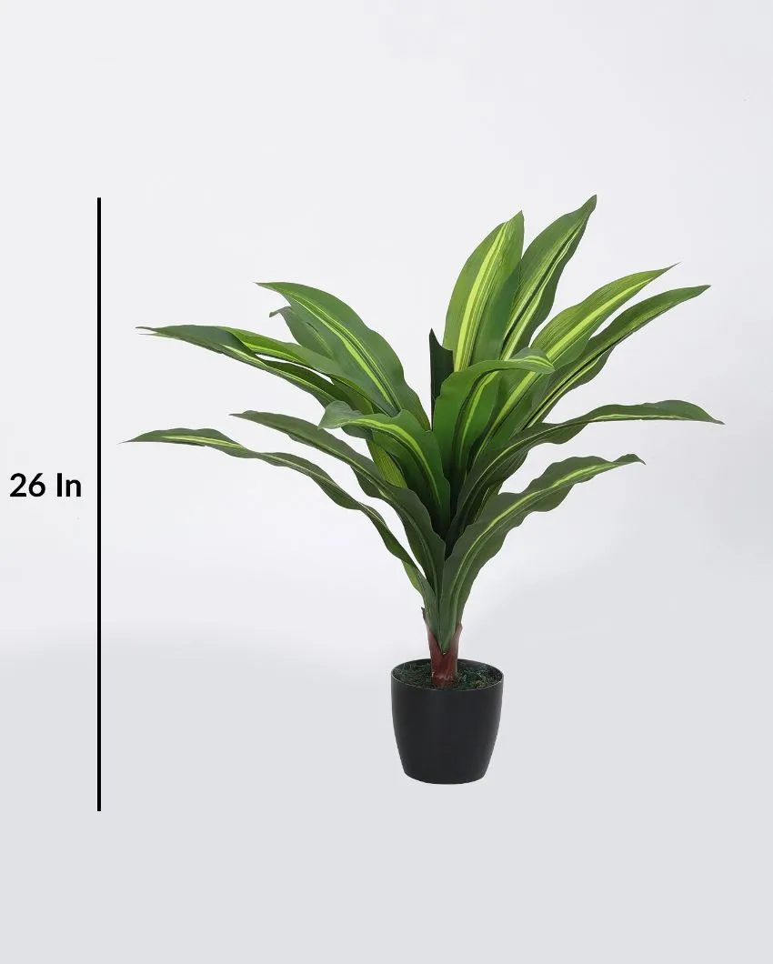 Artificial Dracaena Silk Plant Evergreen Dracaena Marginata Fake Yucca Palm Tree With Black Pot | 2 feet