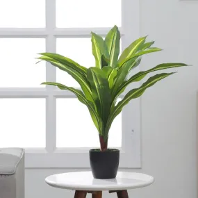 Artificial Dracaena Silk Plant Evergreen Dracaena Marginata Fake Yucca Palm Tree With Black Pot | 2 feet
