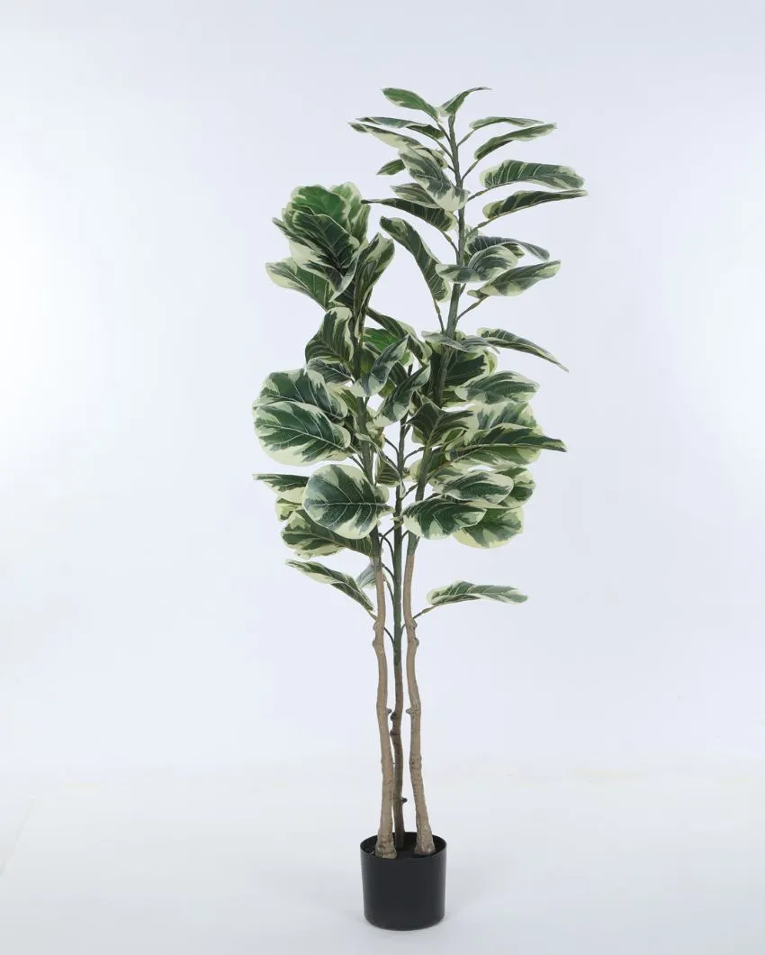 Artificial Fiddle Leaf Fig Variegated Plant With Black Pot | 5 feet