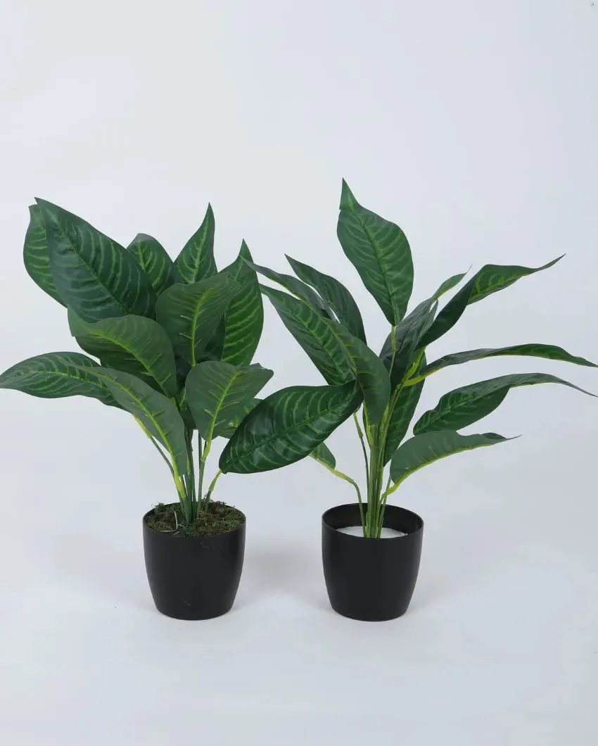 Artificial Green Croton Plant Mini Bush With Black Pot | Set Of 2 | 1.6 feet
