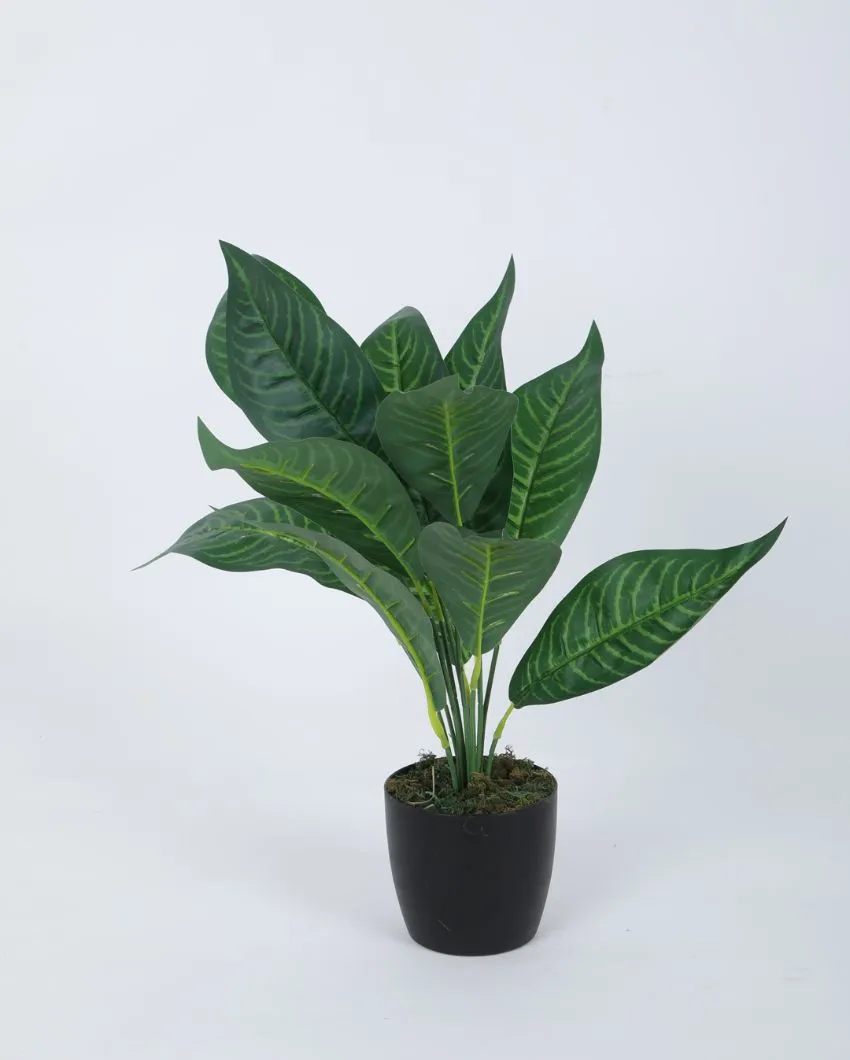 Artificial Green Croton Plant Mini Bush With Black Pot | Set Of 2 | 1.6 feet