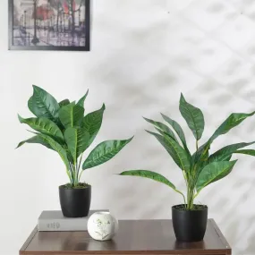 Artificial Green Croton Plant Mini Bush With Black Pot | Set Of 2 | 1.6 feet