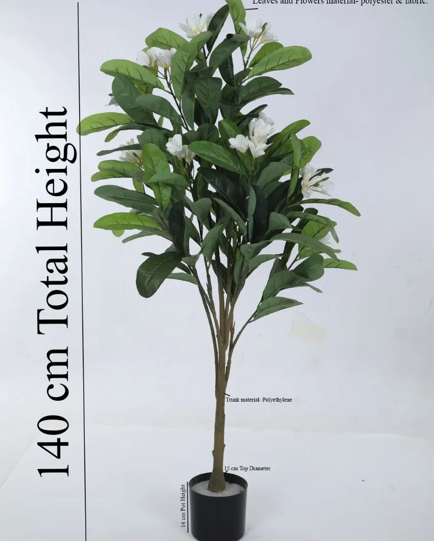 Artificial Green Frangipani Flowers Plant With Black Pot | 4 feet