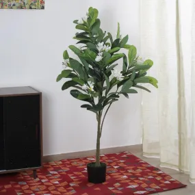 Artificial Green Frangipani Flowers Plant With Black Pot | 4 feet