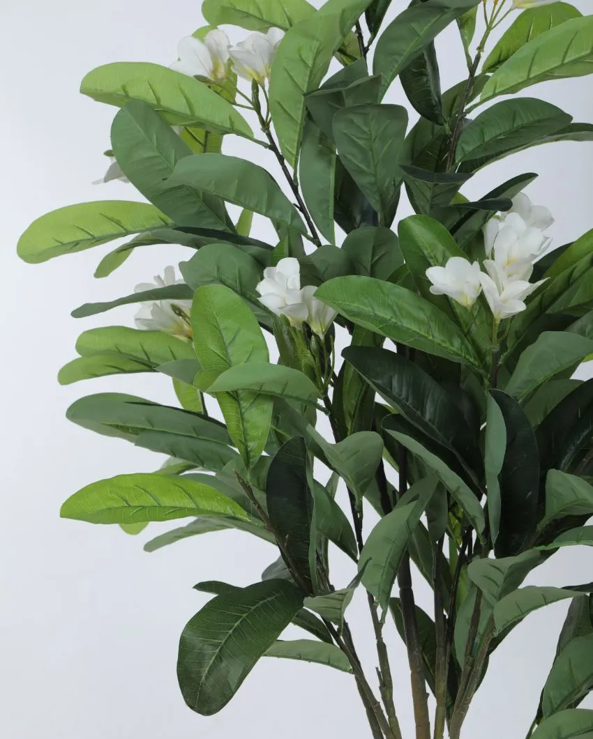 Artificial Green Frangipani Flowers Plant With Black Pot | 4 feet