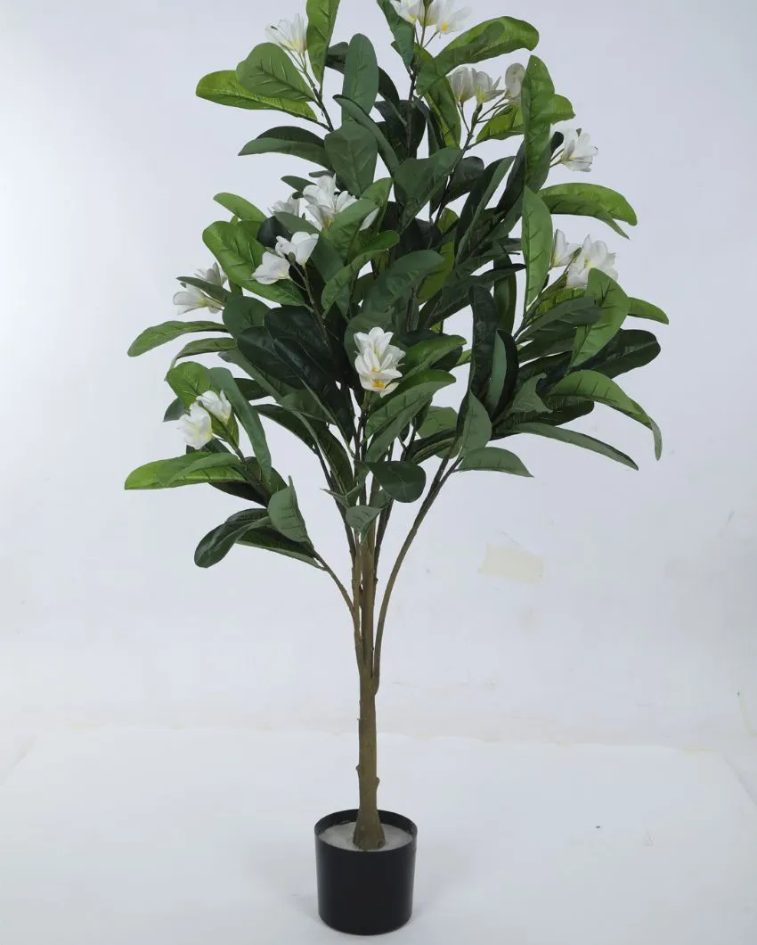 Artificial Green Frangipani Flowers Plant With Black Pot | 4 feet
