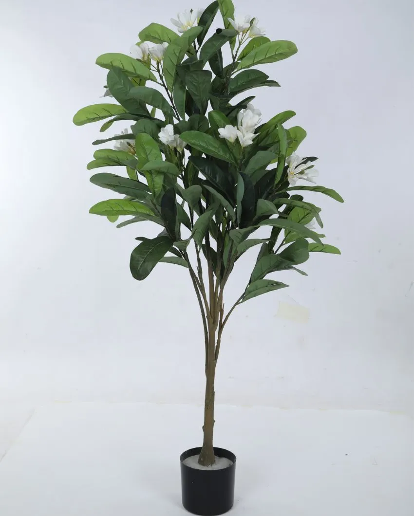 Artificial Green Frangipani Flowers Plant With Black Pot | 4 feet
