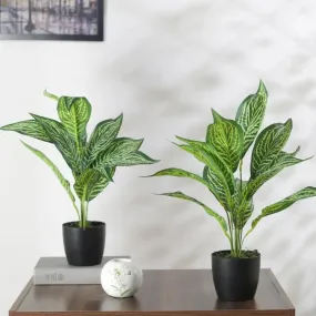 Artificial Jale Croton Plant Mini Bush With Black Pot | Set Of 2 | 1.6 feet