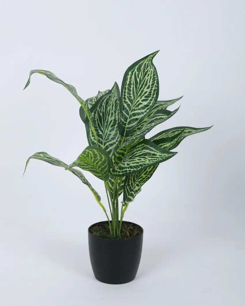 Artificial Jale Croton Plant Mini Bush With Black Pot | Set Of 2 | 1.6 feet