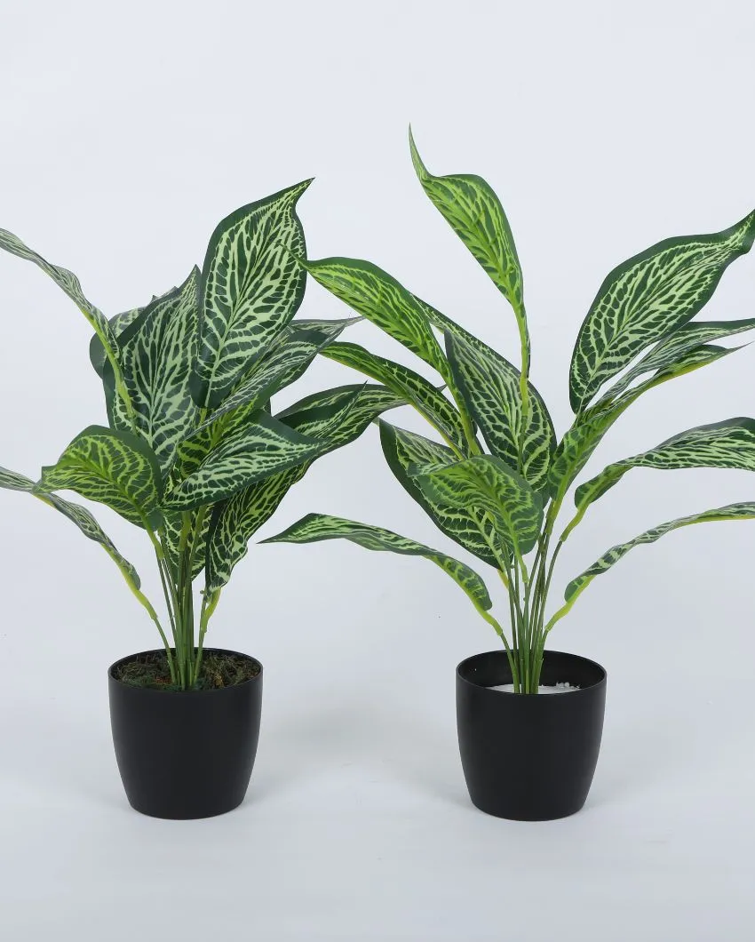 Artificial Jale Croton Plant Mini Bush With Black Pot | Set Of 2 | 1.6 feet