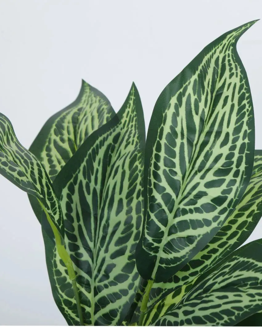 Artificial Jale Croton Plant Mini Bush With Black Pot | Set Of 2 | 1.6 feet