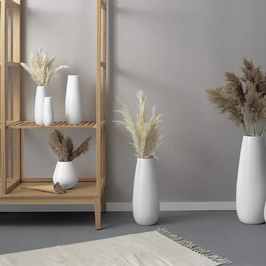 Asa Germany | Pampas Grass Foliage