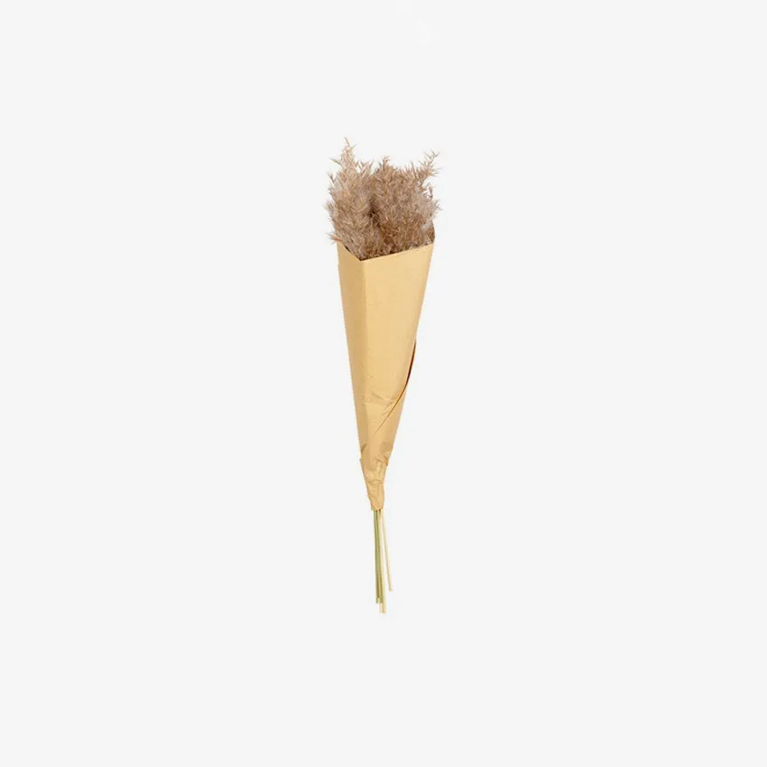 Asa Germany | Pampas Grass Foliage