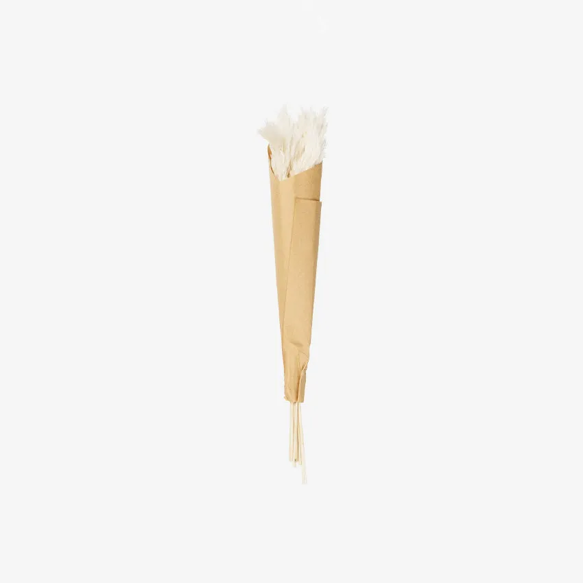 Asa Germany | Pampas Grass Foliage